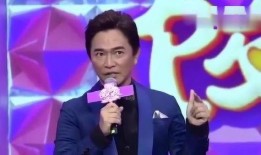 爆料男星视频下载安装免费,免费下载爆料男星视频，安装神秘软件背后的真相